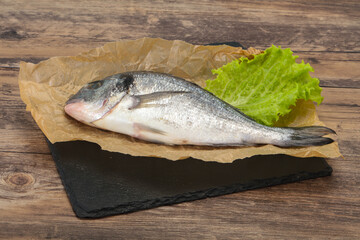 Raw Dorada fish  for cooking