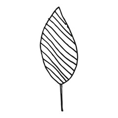 Simple leaf design