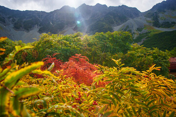 涸沢カールの風景
