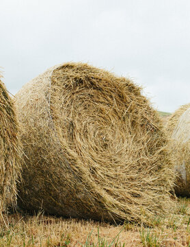 Bales of hay