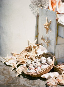 Pile of shells for sale in a market in mykonos greece