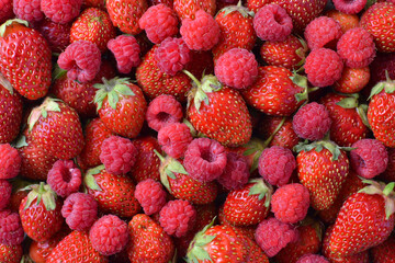 Ripe raspberries and strawberries are piled in an even layer, top view