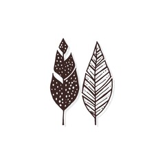 Leaves with patterns