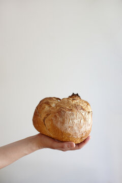 Close up of a hand holding a fresh baked loaf of bread