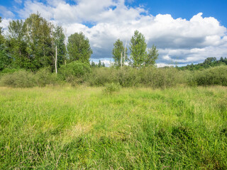 Obraz premium Juanita Bay Park