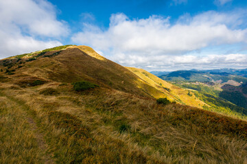 mountain landscape in autumn. dry colorful grass on the hills. ridge behind the distant valley. view from the top of a hill. clouds on the sky. synevir national park, ukraine