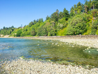 Saltwater State Park
