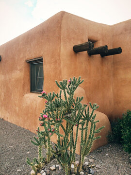 Adobe with cactus