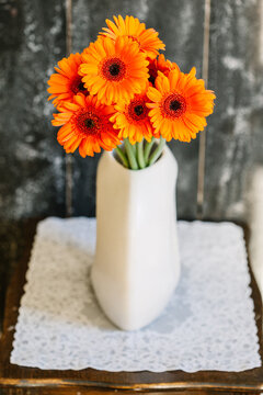 Fiery orange Germini.