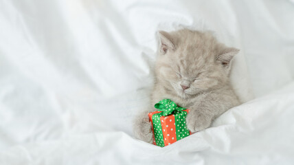 Gray kitten sleeps under blanket with gift box. Top down view. Empty space for text