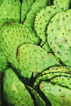 Fresh nopal cactus vegetables at a farmer's market