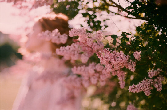 Lilac