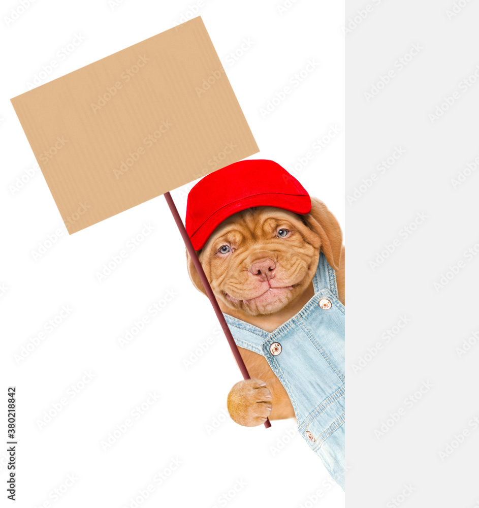 Poster Smiling dog wearing overalls and red cap holds empty placard behind empty banner. isolated on white background