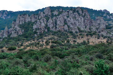 Fototapeta na wymiar High rock pillars in Valley of Ghosts of the mountain range Demerji, Crimea. Green bushes in the foreground