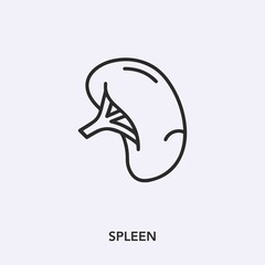 spleen icon vector sign symbol