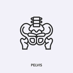 pelvis icon vector sign symbol