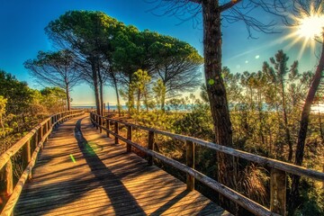 wooden bridge in the forest along the beach