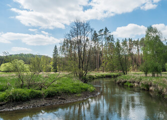 Obraz premium idyllic landscape of winding river stream meander at lush green meadow with deciduous tree forest, blue sky backgound. Late spring sunny afternoon, vibrant colors