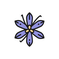 Vanilla, saffron, spice flat color line icon. Isolated on white background