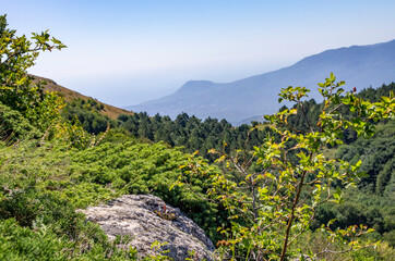 Mountain landscape. Summer tracking. The Mountains Of The Crimea