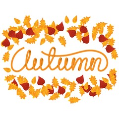 Autumn lettering design vector illustration