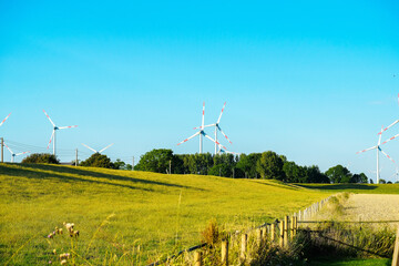 Obraz na płótnie Canvas wind turbines in the field