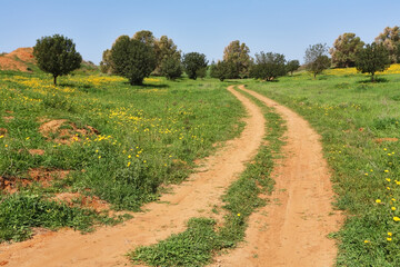 Fototapeta na wymiar The rural dirt road passes fields