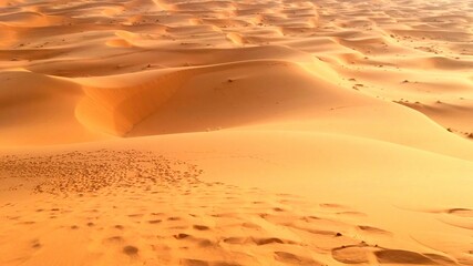 Sahara Desert at midday
