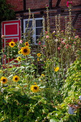 Blumenbeet vor Rotem Haus Fenster