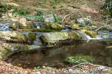 A small waterfall in the forest. Long exposure
