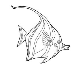 Sea reef fish coloring book. Doodle style fish. Vector illustration isolated on white background.