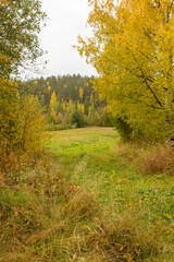 Rural landscape in the fall