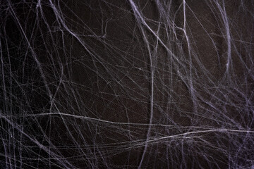 White spider's net on a black background. concept of halloween