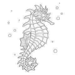 Seahorse reef fish coloring book. Doodle style seahorse fish. Vector illustration isolated on white background. © Roonikart