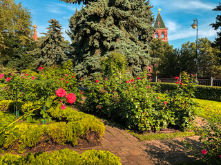 Colorful flowers in Moscow Kremlin gardens. Moscow, Russia.