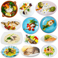 Set of various plates of fish isolated on white background