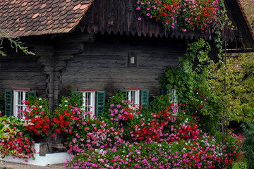 Prachtvoller Geranienschmuck an einem historischen steirischen Holzhaus, Steiermark, Österreich