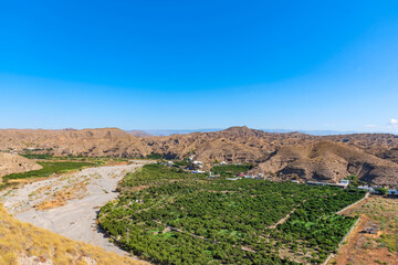 Orange tree plantation in the desert of almeria