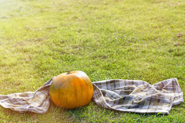 A large orange pumpkin and a checkered plaid on a background of autumn grass. Copy space.