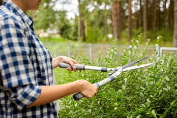 gardening and people concept - woman with pruner or pruning shears cutting branches at summer garden