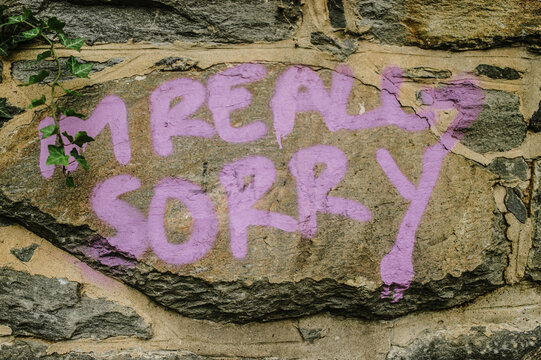 I'm Really Sorry"" graffiti message on a stone wall
