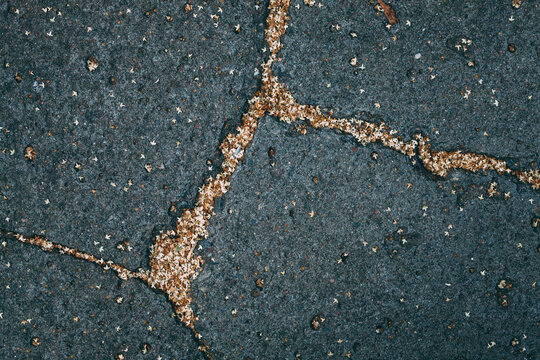 Top view of asphalt cracks full of yellow tree seeds