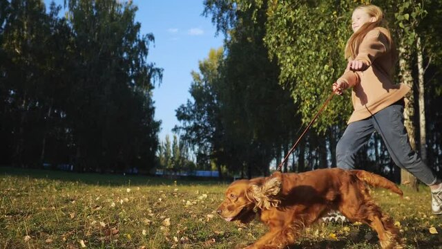 Young blonde teenager in hoodie and jeans holds ginger spaniel on leash running along green park under bright autumn sunlight slow motion