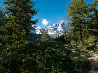 Alps, Italy. Around the Matterhorn peak and Blue Lake in the summer.  Aosta Valley.