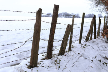 Chilterns Winter Fence