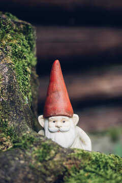 Objects: Garden gnome with red jelly bag cap