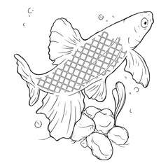 fish swimming design