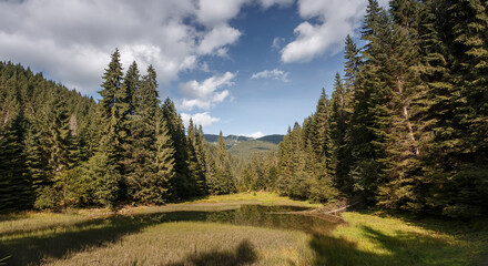 Vivid Sunny morning. alpine landscape with mountain lake, forest and perfect blue sky at autumn. Scenic mountain scenery of nature. Stunning natural background. Picture of Wild area. Carpathian scene