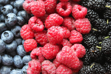 raspberry and blackberry