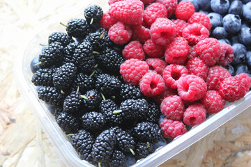 berries in a bowl